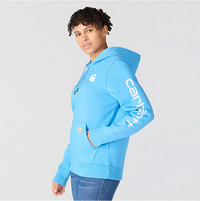 Women's Clarksburg Graphic Sleeve Pullover Sweatshirt (102791)