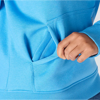 Women's Clarksburg Graphic Sleeve Pullover Sweatshirt (102791)