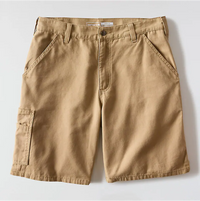 Loose 9" Stateline Short (107420)