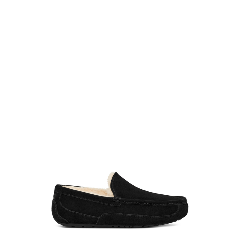 Men's Ascot (1101110)