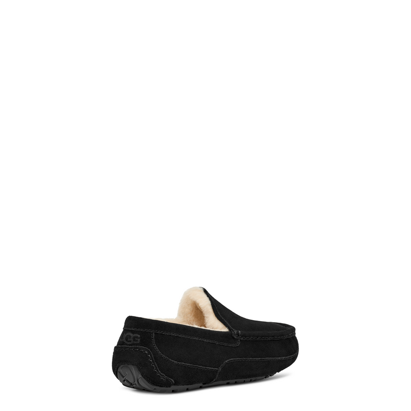 Men's Ascot (1101110)