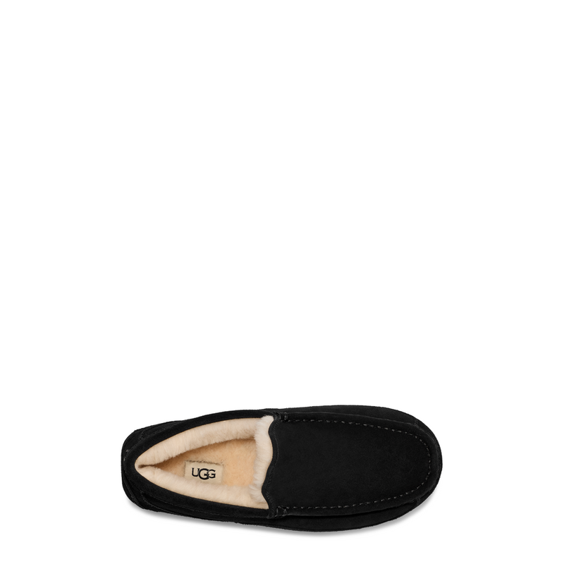 Men's Ascot (1101110)