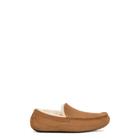 Men's Ascot (1101110)