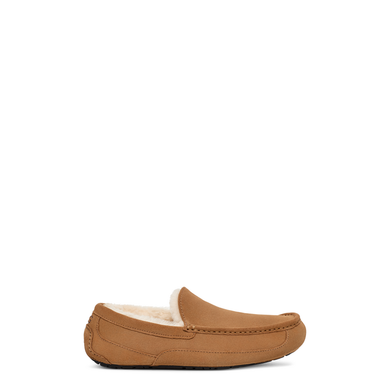 Men's Ascot (1101110)