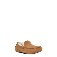 Men's Ascot (1101110)