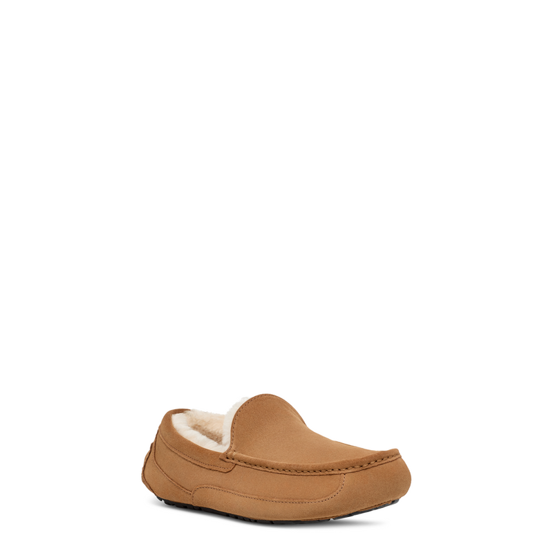 Men's Ascot (1101110)