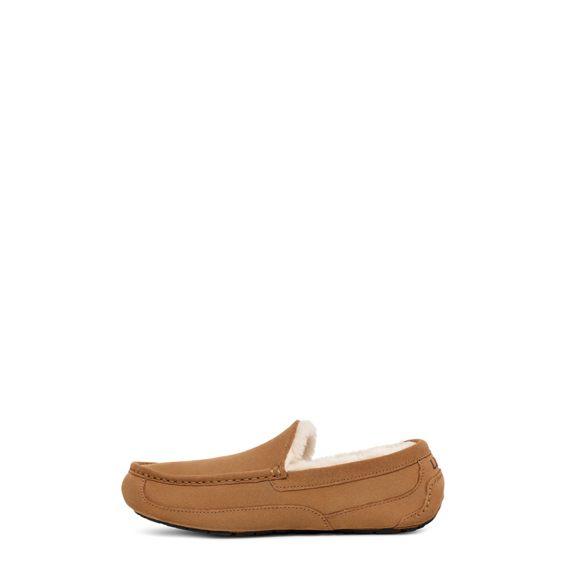 Men's Ascot (1101110)