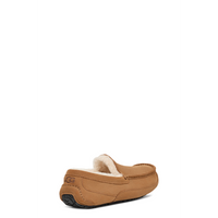 Men's Ascot (1101110)