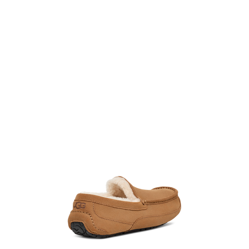 Men's Ascot (1101110)