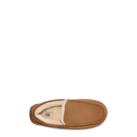 Men's Ascot (1101110)