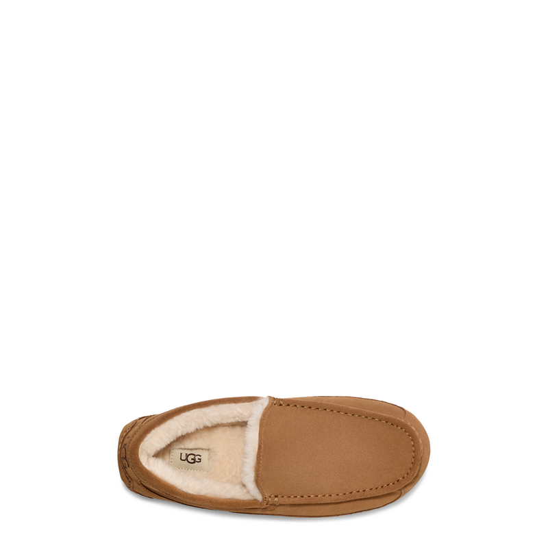 Men's Ascot (1101110)