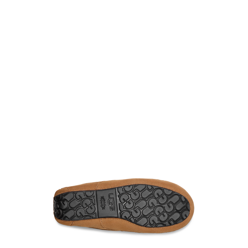 Men's Ascot (1101110)