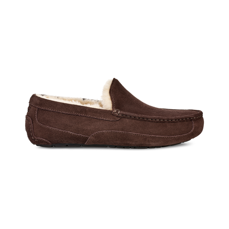 Men's Ascot (1101110)