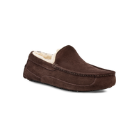 Men's Ascot (1101110)