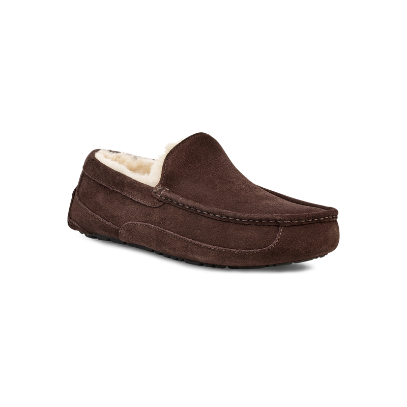 Men's Ascot (1101110)