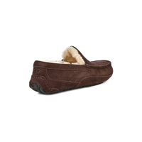 Men's Ascot (1101110)