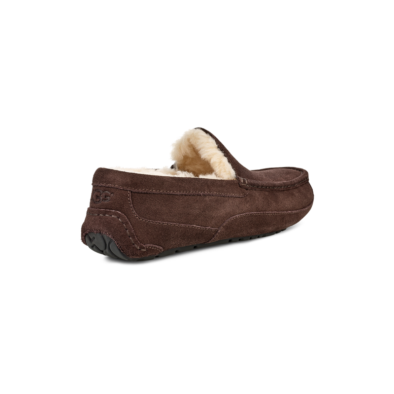 Men's Ascot (1101110)