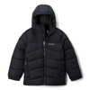 Arctic Blast II Jacket (2089721)
