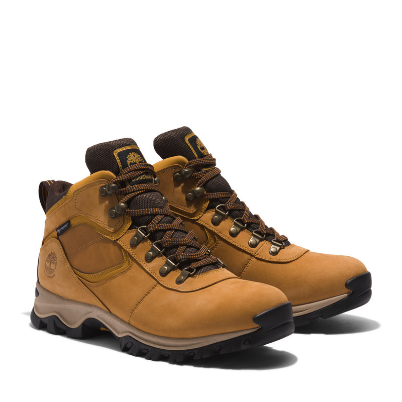 Men's Mt. Maddsen Mid (A64TV231)