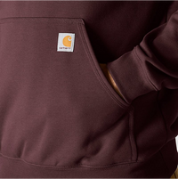 Loose Fit Midweight Logo Sleeve Graphic Sweatshirt