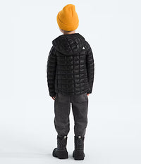 Kids THERMOBALL Hooded Jacket (NF0A8EMF)