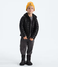 Kids THERMOBALL Hooded Jacket (NF0A8EMF)