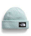 Kids Salty Lined Beanie (NF0A7WG8)