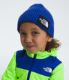 Kids TNF Box Logo Cuffed Beanie (NF0A7WGC)