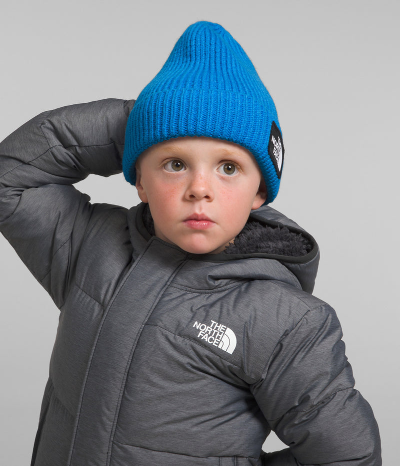 Kids TNF Box Logo Cuffed Beanie (NF0A7WGC)