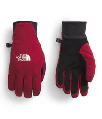 Womens Shelbe Raschel Etip Glove (NF0A888R)