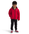 Kids Boys Reversible Shasta Full Zip Hooded Jacket (NF0A88VH)