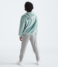 Kids Osito Full Zip Hoodie (NF0A88VP)