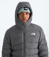 Mens Aconcagua 3 Lined Hoodie (NF0A8A36)