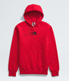 Mens Fine Alpine Hoodie (NF0A8APT)