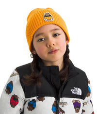 Kids TNF™ Logo Box Cuffed Beanie (NF0A8CGU)
