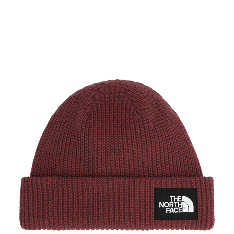 Salty Lined Beanie (NF0A8CGZ)