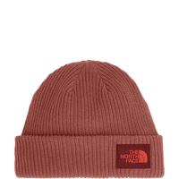 Salty Lined Beanie (NF0A8CGZ)