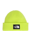 Salty Lined Beanie (NF0A8CGZ)