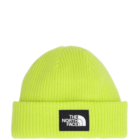 Salty Lined Beanie (NF0A8CGZ)