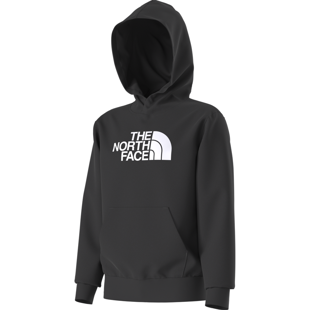 Teen Evolution Half Dome Pullover Hoodie (NF0A8CV4)