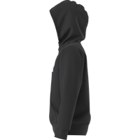 Teen Evolution Half Dome Pullover Hoodie (NF0A8CV4)