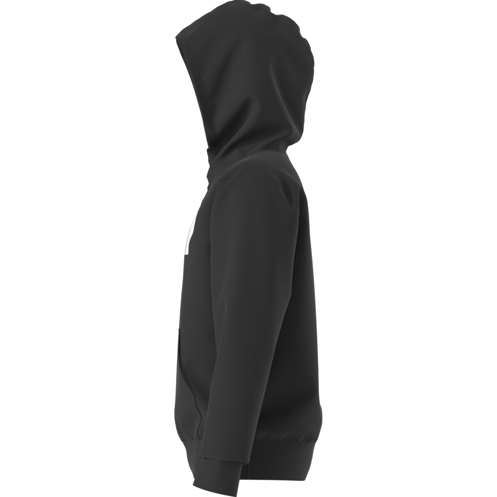 Teen Evolution Half Dome Pullover Hoodie (NF0A8CV4)