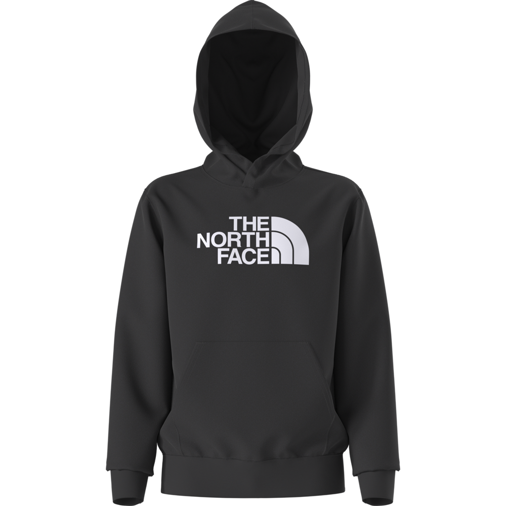 Teen Evolution Half Dome Pullover Hoodie (NF0A8CV4)