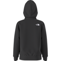 Teen Evolution Half Dome Pullover Hoodie (NF0A8CV4)