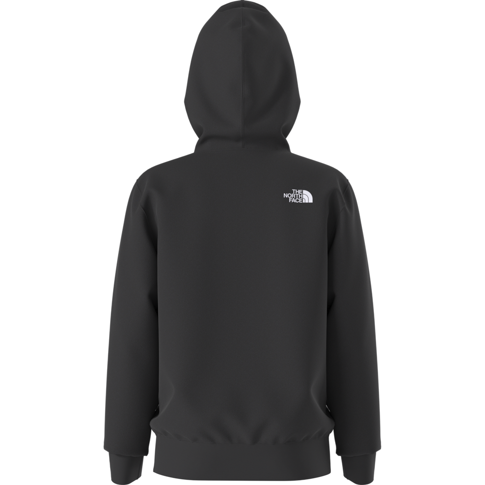 Teen Evolution Half Dome Pullover Hoodie (NF0A8CV4)