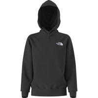 Teen Evolution Box NSE P/O Hoodie