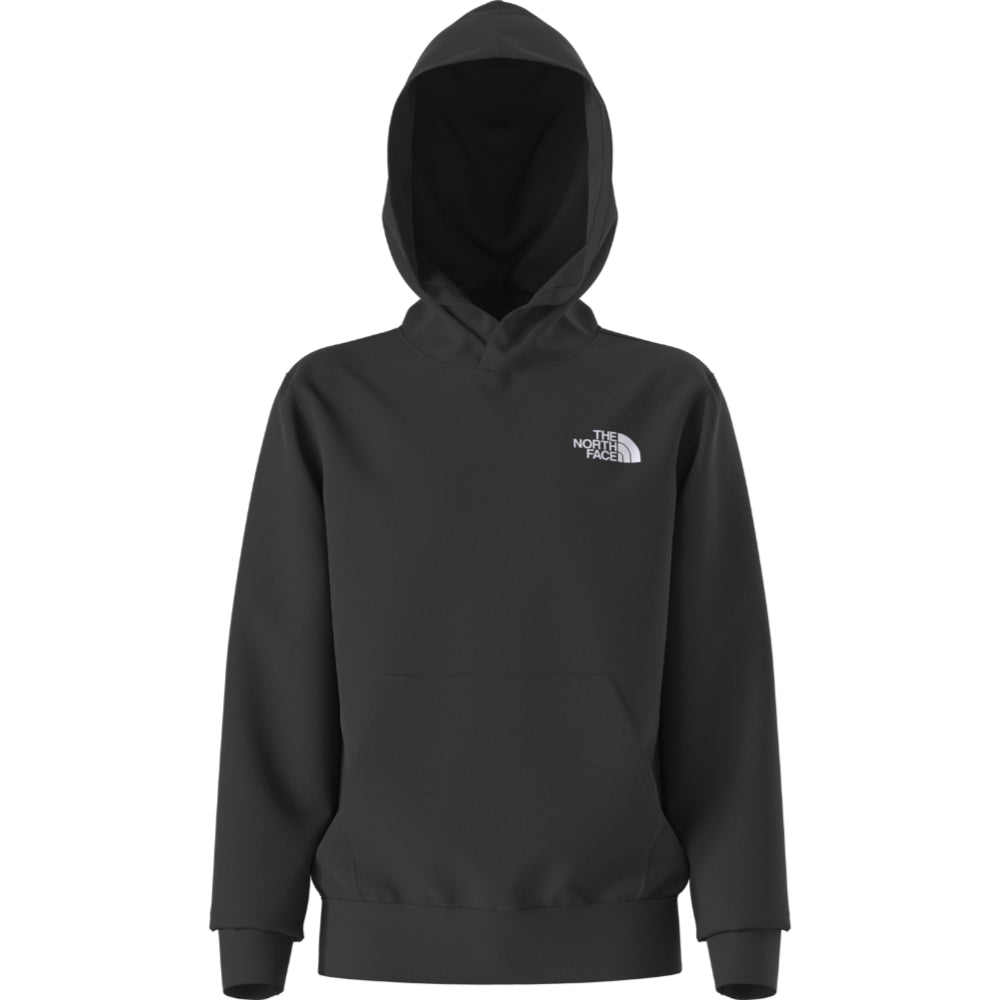 Teen Evolution Box NSE P/O Hoodie