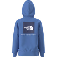 Teen Evolution Box NSE P/O Hoodie