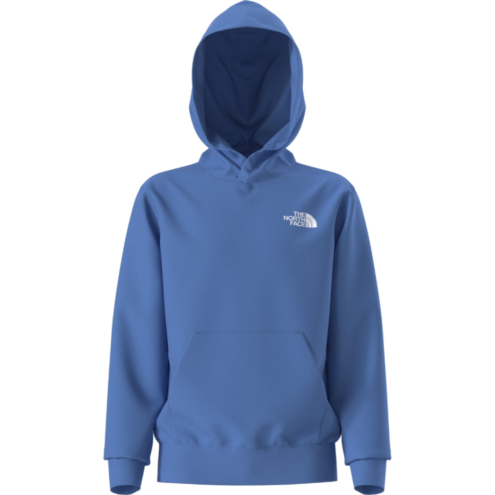 Teen Evolution Box NSE P/O Hoodie