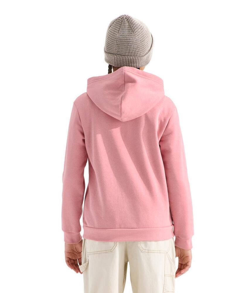 Teen Evolution Simple Dome P/O Hoodie